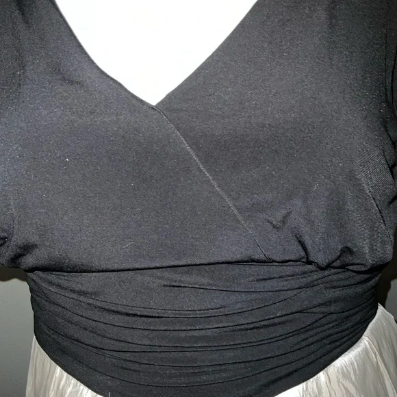 Holiday Plus Dress 24w! - Picture 4 of 6